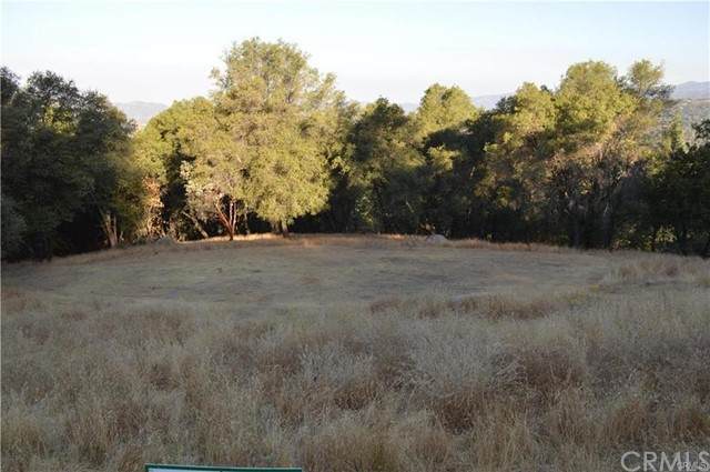 11 Tanglewood - Photo 1