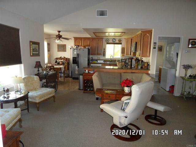 31916 Del Cielo Este - Photo 1