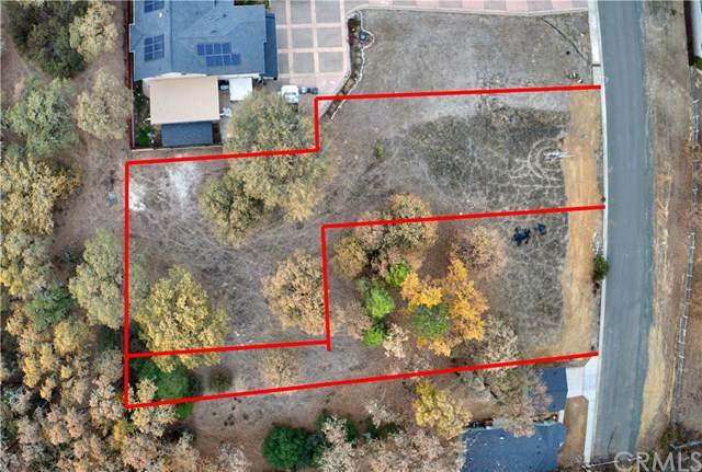 1657 Alden - Photo 1