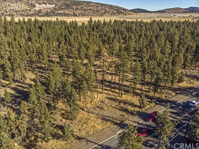 701 Big Bear - Photo 1