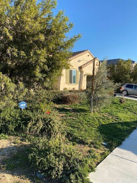 5724 Avocet Drive - Photo 1