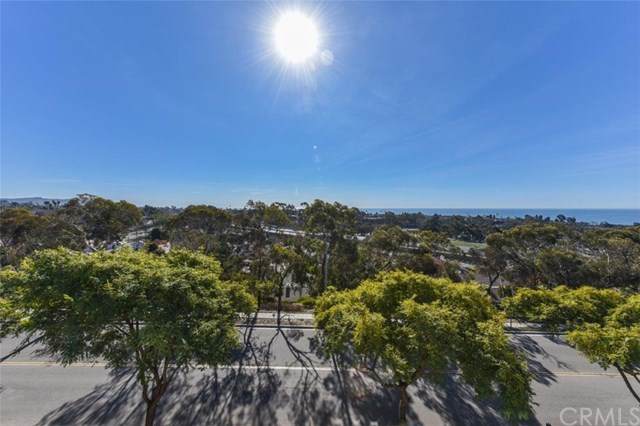 26344 Paseo Sillin - Photo 1