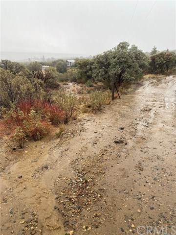 51595 Old Mine - Photo 1