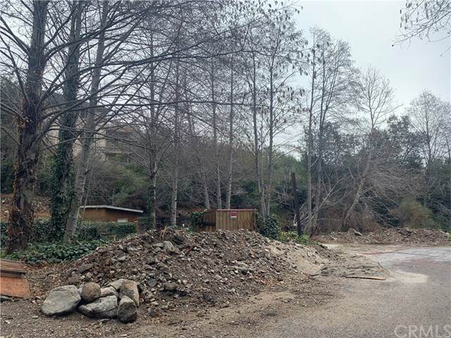 1810 Old Waterman Canyon - Photo 1