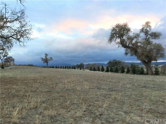 1320 Fire Rock Loop - Photo 1