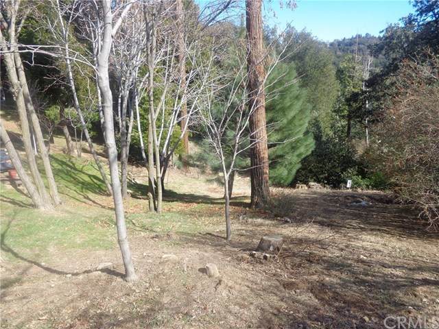 706 Deer Run - Photo 1