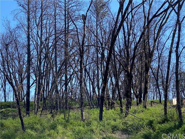 0 Edgewood - Photo 1
