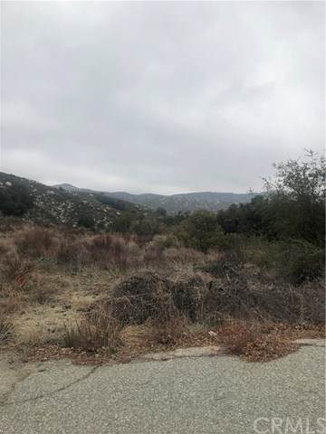 0 Coyote - Photo 1