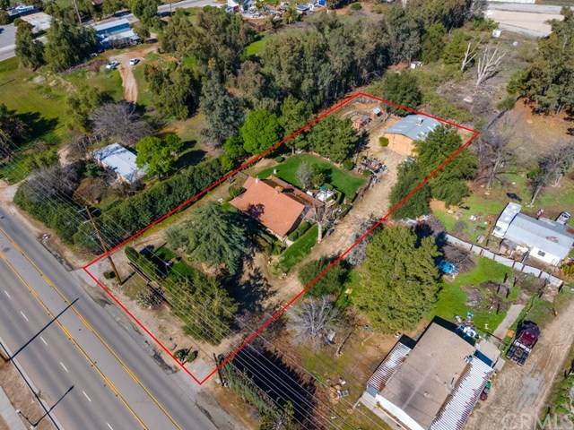 41667 Kalmia Street - Photo 1