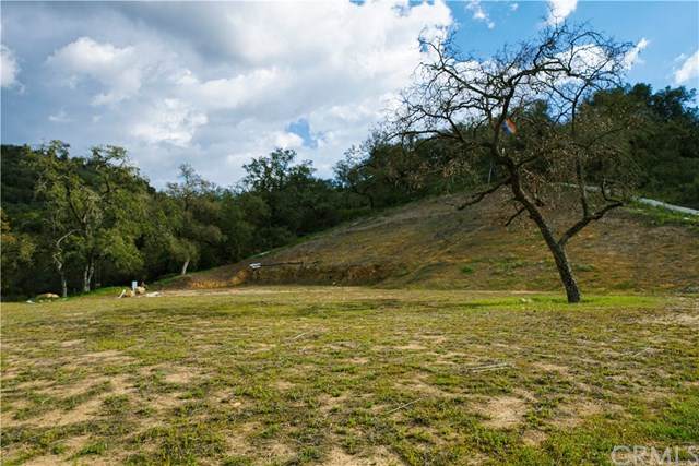 43492 Calle Nuevo - Photo 1