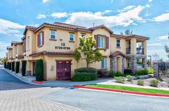 8729 Olive Tree Drive - Photo 1