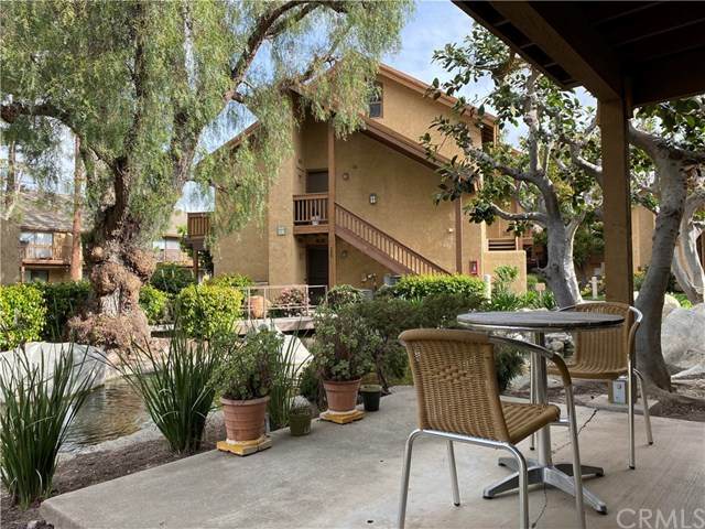 464 Orange Blossom - Photo 1