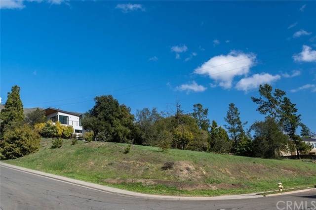 1636 Encino - Photo 1