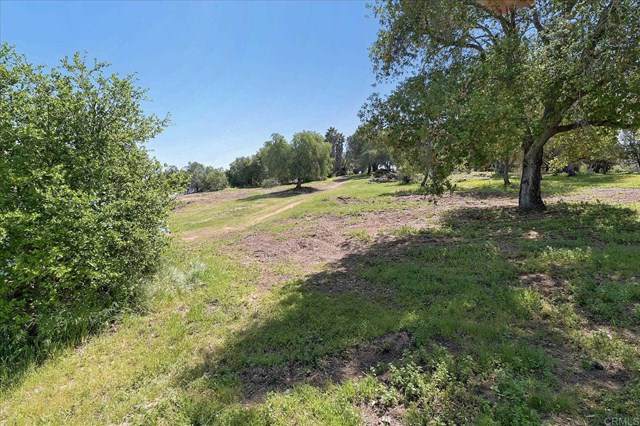 1505 Avocado Way - Photo 1