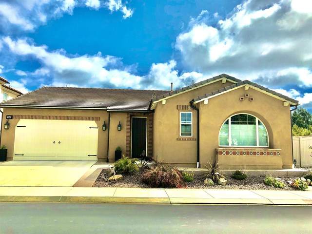 7343 Circulo Ronda - Photo 1