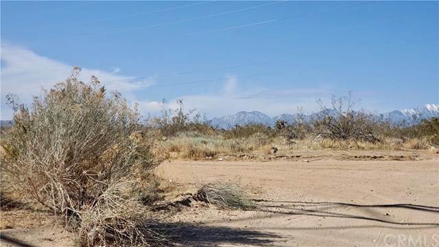 0 Vacant - Photo 1