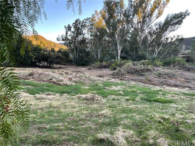 24577 Mulholland - Photo 1