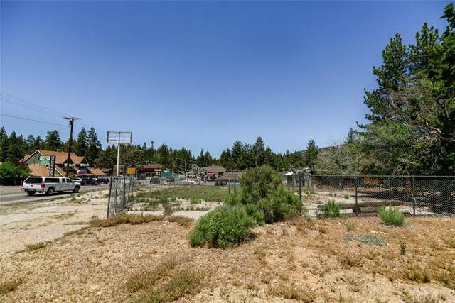 113 Big Bear - Photo 1