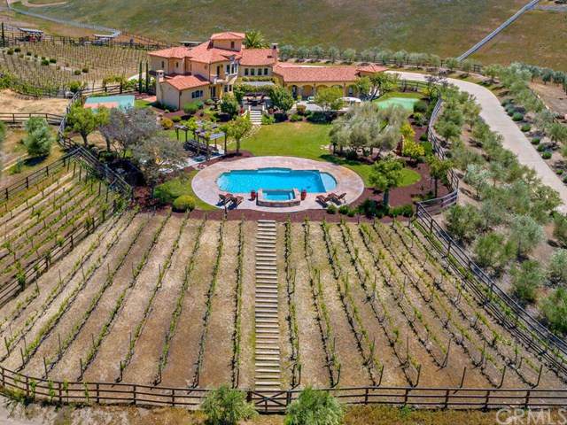 40650 Sierra Maria Road - Photo 1