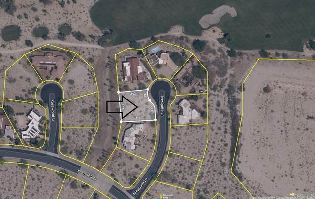 Mesquite - Photo 1