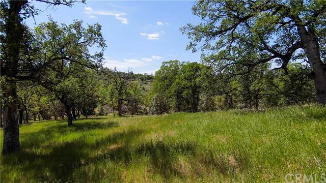 123 Rancheria Creek Road - Photo 1