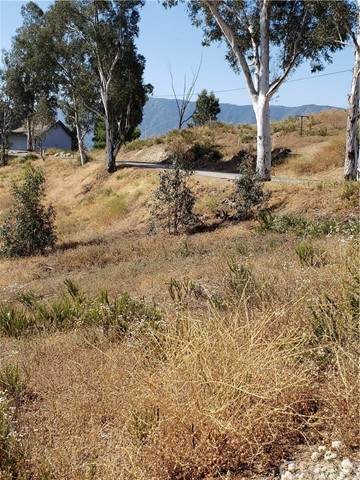 71 Howlett - Photo 1