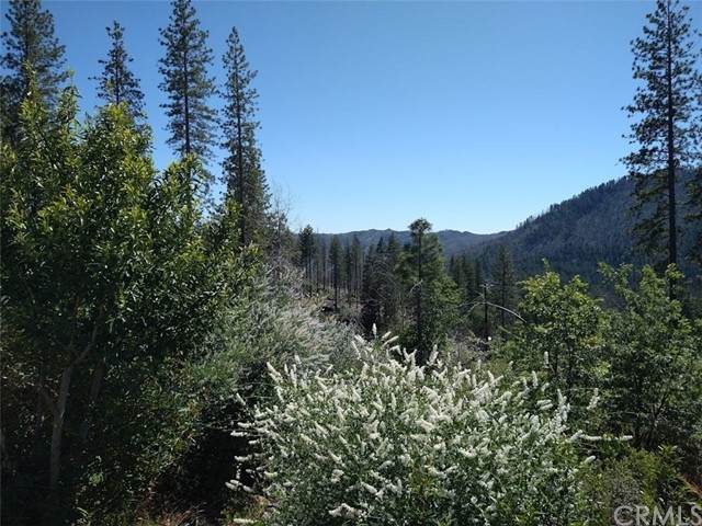 11776 Gifford Springs - Photo 1