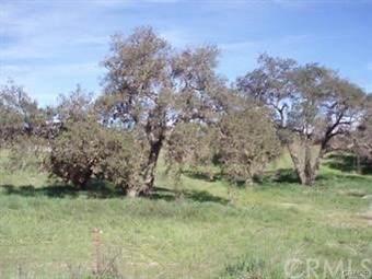 41200 De Portola - Photo 1