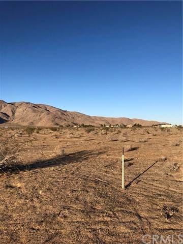 0 Lagartijo - Photo 1