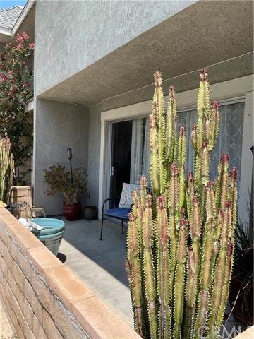 31864 Railroad Canyon Road - Photo 1