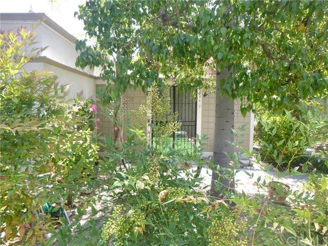 489 Calle Cadiz - Photo 1