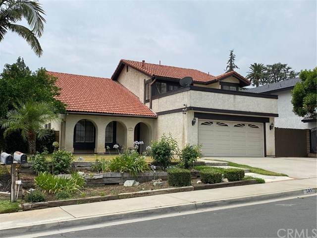 541 Woodbluff Street - Photo 1