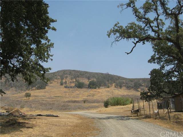20276 Morgan Valley Road - Photo 1