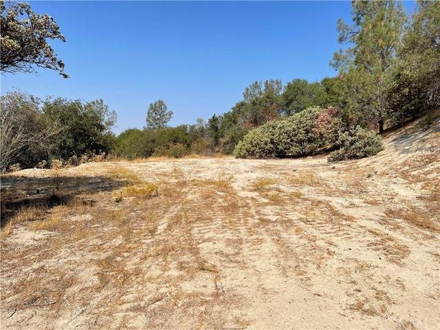 33981 Skyline Ridge Ct - Photo 1