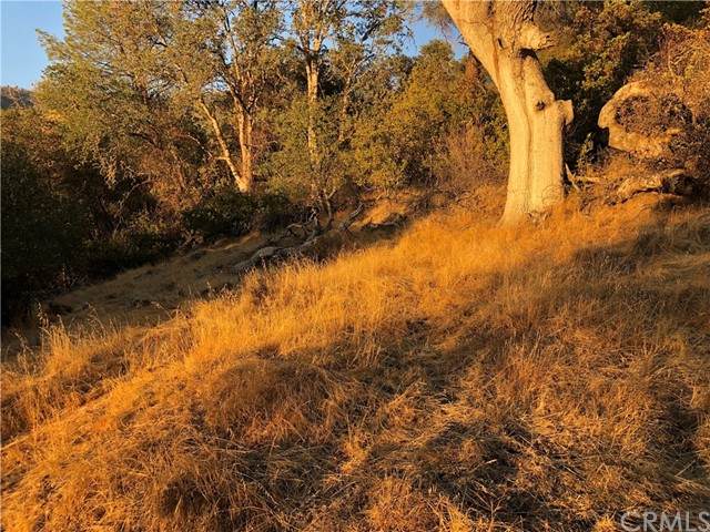4438 Lakeview - Photo 1