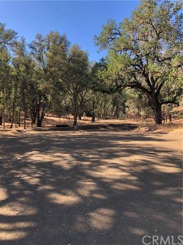18955 Cantwell Ranch - Photo 1