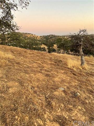 9724 Paraje - Photo 1