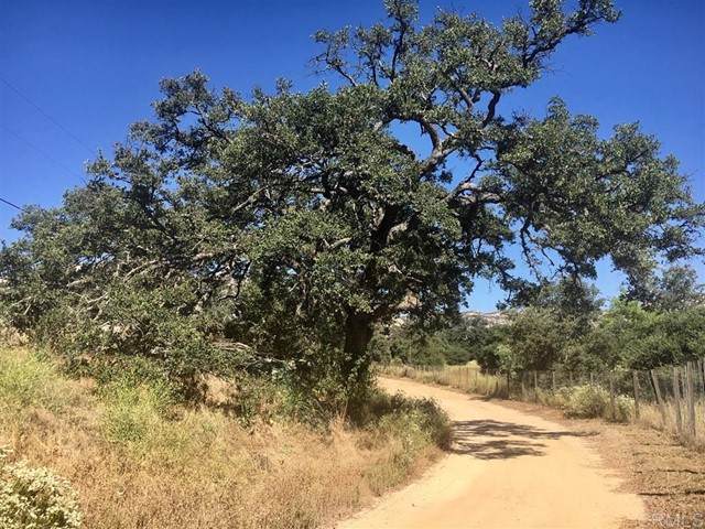 48 Mother Grundy Truck Trail - Photo 1