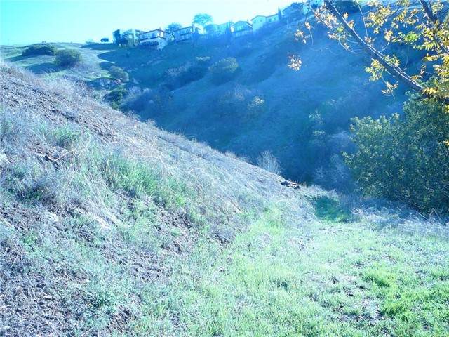 3567 Camino Real - Photo 1