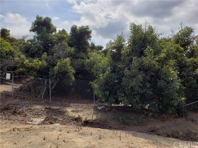 23723 Serreno - Photo 1