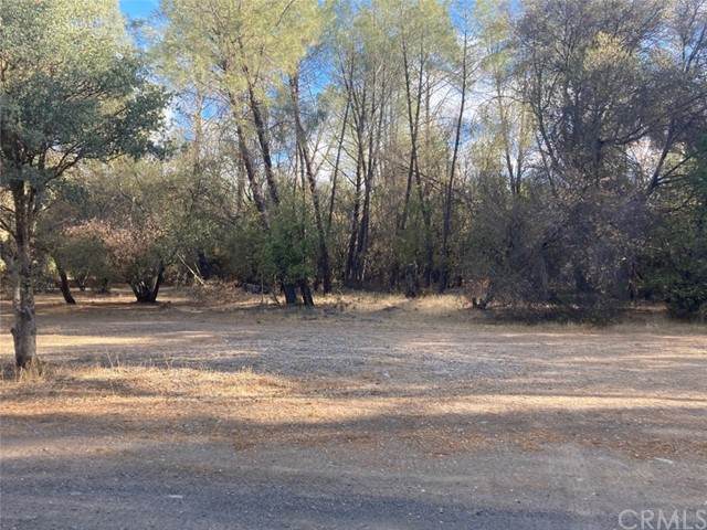1594 New Long Valley - Photo 1