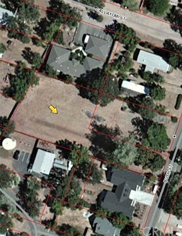 21265 Bush - Photo 1