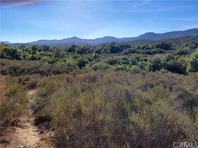 0 Ortega Highway - Photo 1