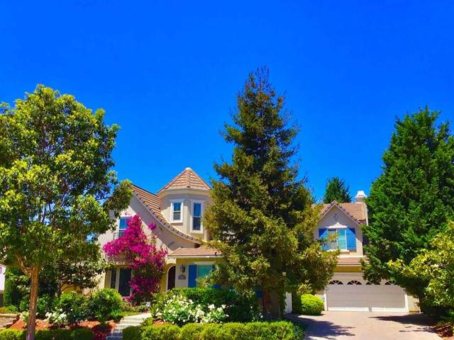 7307 Circulo Papayo - Photo 1