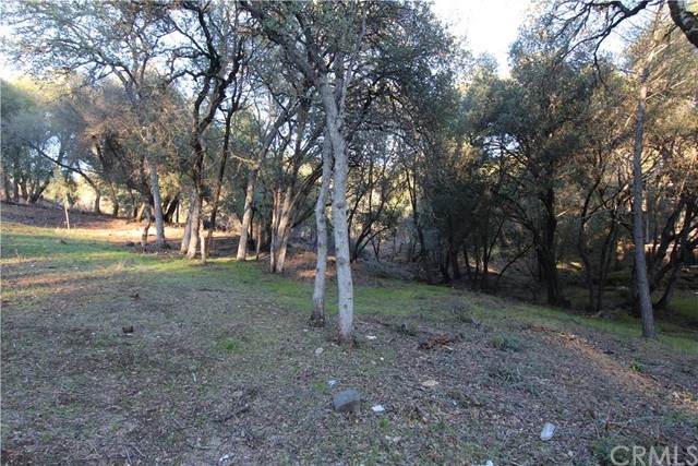6157 Armijo - Photo 1