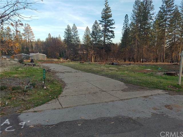 6042 Williams - Photo 1