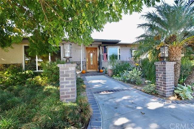 12441 Elmwood Street - Photo 1
