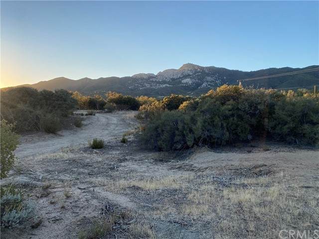 38295 Indian Road - Photo 1