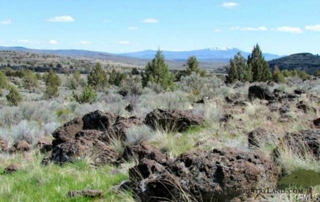 0 Madiline/Lassen - Photo 1