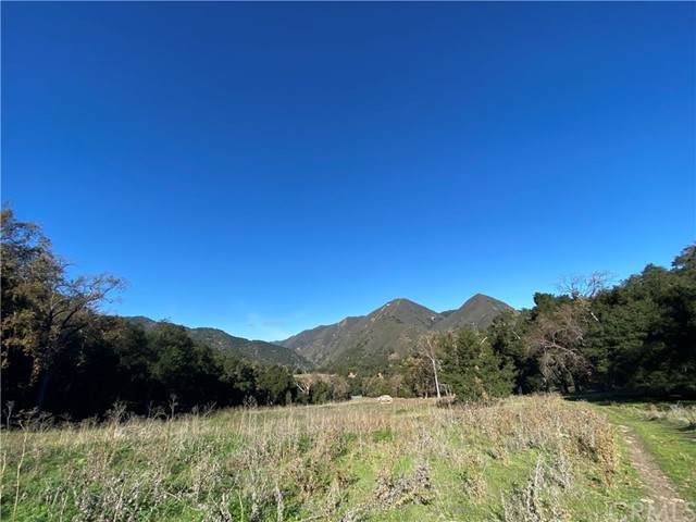 0 Upper Lopez Canyon Rd. - Photo 1